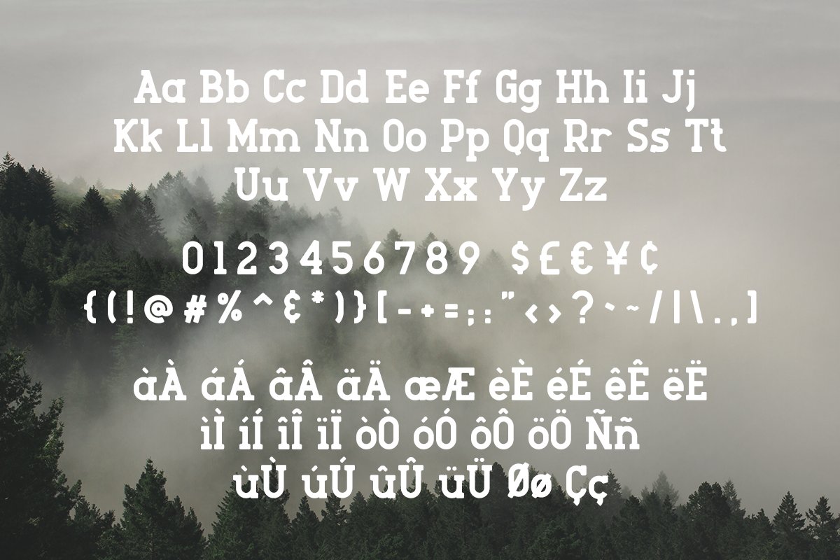Roger Serif Light Font preview